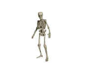 Skeleton GIF